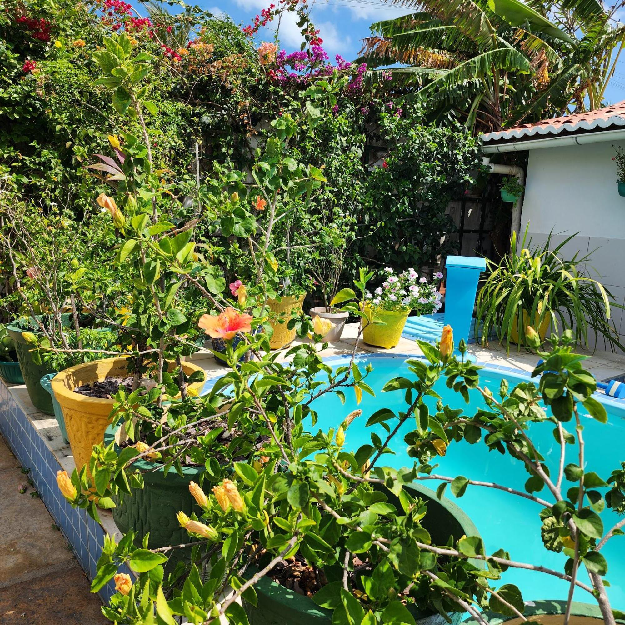 Mandala Dreams Pousada E Portal Holistico Maceio  Экстерьер фото