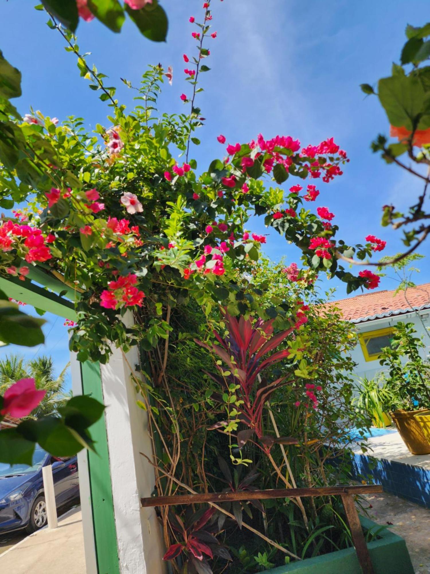 Mandala Dreams Pousada E Portal Holistico Maceio  Экстерьер фото