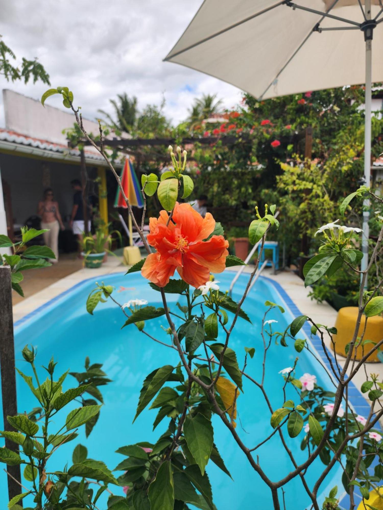 Mandala Dreams Pousada E Portal Holistico Maceio  Экстерьер фото